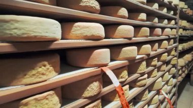 İspanya ve Fransa sınırındaki Pirenes Dağları 'ndaki olgunlaşan bir mahzendeki ahşap raflarda yıllanmış peynir. Peynir fabrikasındaki kontrol odasında olgunlaşan peynir kafalar.