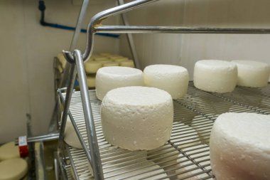 Pirene Dağları 'ndaki olgunlaşan bir mahzende, ahşap raflarda yıllanmış peynir. Peynir fabrikasındaki kontrol odasında olgunlaşan peynir kafalar. Peynir yapımının süreci