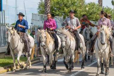 Le Grau-du-Roi, Fransa - 11 Eylül 2024: Course Camarguaise, Fransa 'nın güneyindeki Camargue bölgesinde düzenlenen geleneksel bir boğa güreşi etkinliği. At sırtındaki muhafızlar bir boğaya arenaya kadar eşlik etsin.