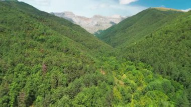Yaz boyunca, İspanya 'nın Pirenes Dağları' ndaki sonsuz yeşil ormanın üzerinde uçmak. Ufuk boyunca uzanan yemyeşil dağların havadan görünüşü. Doğa manzarası ve ekolojik güzellik