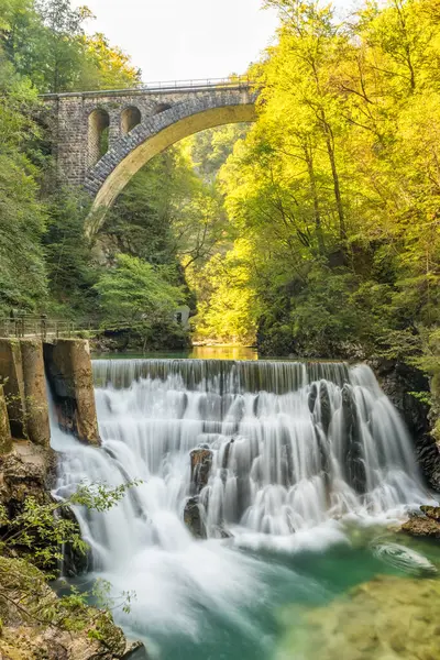 Slovenya 'nın Soteska Vintgar kentindeki sakin bir ormanda harika bir şelale. Julian Alpleri 'ndeki Vintgar Vadisi. Bled Gorge olarak da bilinir. Çarpıcı doğa manzarası.