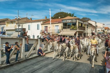 Le Grau-du-Roi, Fransa - 11 Eylül 2024: Course Camarguaise, Fransa 'nın güneyindeki Camargue bölgesinde düzenlenen geleneksel bir boğa güreşi etkinliği. At sırtındaki muhafızlar bir boğaya arenaya kadar eşlik etsin.