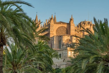 Gün doğumunda Santa Maria Katedrali, Palma de Mallorca, Mallorca, Balear Adaları, İspanya. Majorca adasındaki tarihi Katedral binasının güzel manzarası.