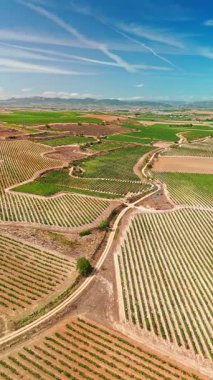 İspanya 'nın La Rioja bölgesindeki güzel üzüm bağları. Kuzey İspanya 'daki ünlü Rioja şarabını üreterek yazın bitmeyen üzüm bağlarını gösteren hava manzarası.