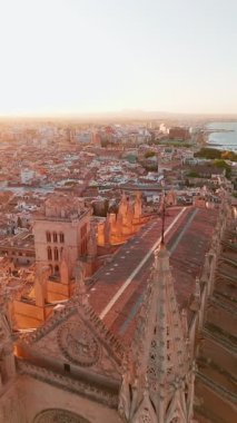 Santa Maria Katedrali, Palma de Mallorca, Mallorca, Balear Adaları, İspanya. Gündoğumunda Majorca adasındaki tarihi Katedral binasının hava manzarası.. 