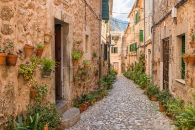 İspanya 'nın Valdemossa, Mallorca, Balearic Adaları' nda çiçek saksılarıyla süslenmiş resim gibi dar bir sokak.