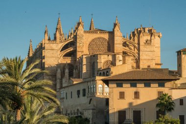 Santa Maria Katedrali, Palma de Mallorca, Mallorca, Balear Adaları, İspanya. Majorca adasındaki tarihi Katedral binasının güzel manzarası.