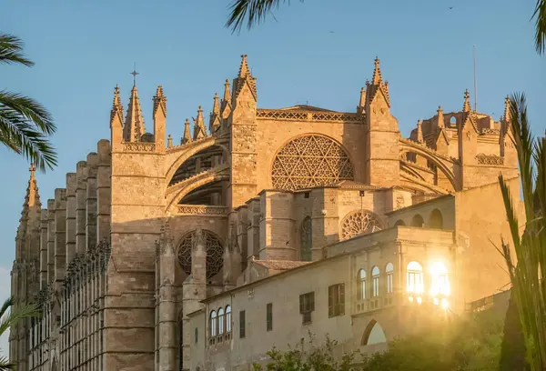 Gün doğumunda Santa Maria Katedrali, Palma de Mallorca, Mallorca, Balear Adaları, İspanya. Majorca adasındaki tarihi Katedral binasının güzel manzarası.