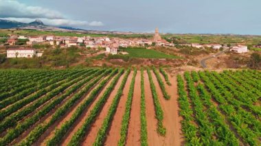 İspanya 'nın Bask bölgesindeki güzel üzüm bağlarıyla çevrili eski Bilar kasabasının hava manzarası. Kuzey İspanya 'daki yeşil üzüm bağları ve tarihi ortaçağ binaları.