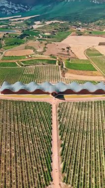 Laguardia, Bask ülkesi İspanya yakınlarındaki ünlü Bodegas Ysios 'un hava manzarası. Alava, Bask Bölgesi 'nde Ysios şaraphanesi. İspanya, La Guardia 'daki modern şarap imalathanesi Ysios' un manzarası