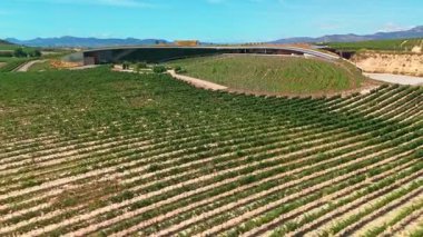 La Rioja, İspanya - 17 Ağustos 2024: İspanya 'nın La Rioja kentindeki güzel üzüm bağlarıyla çevrili Bodegas Beronia şaraphanesinin havadan görünüşü. Kuzey İspanya 'da ünlü Rioja şarabı üretimi.