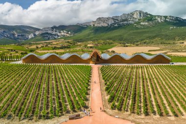 Laguardia, Bask ülkesi İspanya yakınlarındaki ünlü Bodegas Ysios 'un hava manzarası. Alava, Bask Bölgesi 'nde Ysios şaraphanesi. İspanya, La Guardia 'daki modern şarap imalathanesi Ysios' un manzarası
