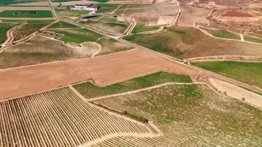 İspanya 'nın La Rioja bölgesindeki güzel üzüm bağları. Kuzey İspanya 'daki ünlü Rioja şarabını üreterek yazın bitmeyen üzüm bağlarını gösteren hava manzarası.
