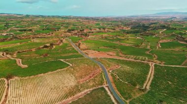 İspanya 'nın Bask bölgesindeki üzüm bağından geçen güzel kırsal yol gün batımında. Yazın uçsuz bucaksız üzüm bağlarının havadan görünüşü, ünlü İspanyol şarabını üretiyor.