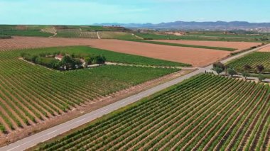 İspanya 'nın La Rioja kentindeki güzel üzüm bağlarıyla çevrili Bodegas Beronia şaraphanesinin hava manzarası. Kuzey İspanya 'da ünlü Rioja şarabı üretimi.