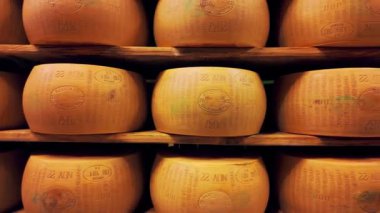 Parmigiano-Reggiano sert peynirinin geleneksel üretim süreci Parma, İtalya 'da küçük bir mandıra çiftliğinde. Parmesan peyniri tekerlerinin 5 yıla kadar yaşlandığı fabrika olgunlaşma odası. 
