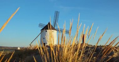Günbatımında Consuegra 'nın tarihi yel değirmenlerinin görüntüsü, Castilla-La Mancha, İspanya. Akşam ışığında tepelerde Don Kişot karakterinin eski yel değirmenleri. Molinos de Viento de Consuegra