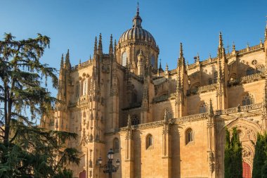 Kastilya ve Leon, İspanya 'daki Salamanca Katedrali' nin muhteşem tarihi cephesi. Salamanca şehrinin kalbindeki etkileyici Gotik bina..
