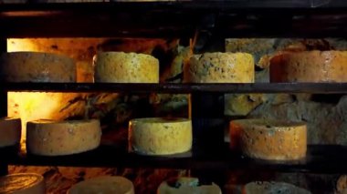 Geleneksel Queso Cabrales peyniri Asturias, Kuzey İspanya 'daki doğal mağarada yaşlanıyor. Mağaralarda yaşlanan eşsiz keçi sütü peyniri, Asturian mutfağının ve geleneksel zanaatkar üretimin bir işareti.. 