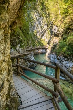 Slovenya 'nın Julian Alpleri' ndeki Soteska Vintgar Vintgar Vadisi 'nin güzel manzarası.