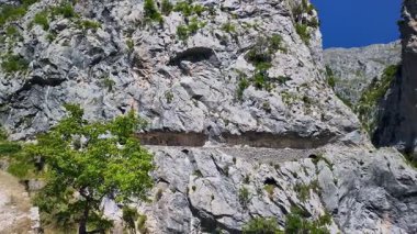 Ruta del Cares, yazın Picos de Europa Ulusal Parkı 'nda Cares Trail yürüyüş yolu, Cantabrian Dağları' nda Kastilya, Leon ve Asturias arasında bir biyosfer rezervi, Kuzey İspanya