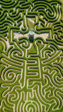 Güneşli bir günde, doğal yeşil labirent bahçesinin yukarıdan görünen görüntüsü. Yoğun çitlerle dolu geometrik labirent kafa karışıklığını, tercihleri ve yön veya çözümü sembolize eder..