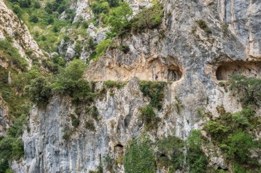 Ruta del Cares, yazın Picos de Europa Ulusal Parkı 'nda Cares Trail yürüyüş yolu, Cantabrian Dağları' nda Kastilya, Leon ve Asturias arasında bir biyosfer rezervi, Kuzey İspanya
