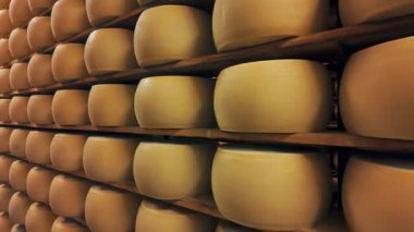 Parmigiano-Reggiano sert peynirinin geleneksel üretim süreci Parma, İtalya 'da küçük bir mandıra çiftliğinde. Parmesan peyniri tekerlerinin 5 yıla kadar yaşlandığı fabrika olgunlaşma odası. 