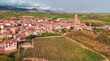 İspanya 'nın Bask bölgesindeki güzel üzüm bağlarıyla çevrili eski Bilar kasabasının hava manzarası. Kuzey İspanya 'daki yeşil üzüm bağları ve tarihi ortaçağ binaları.