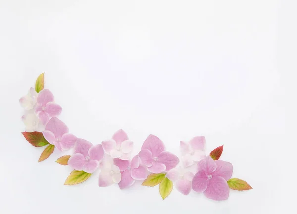 Het Ornament Gelegd Uit Fragiele Roze Bloemen Lege Lijst Tak — Stockfoto