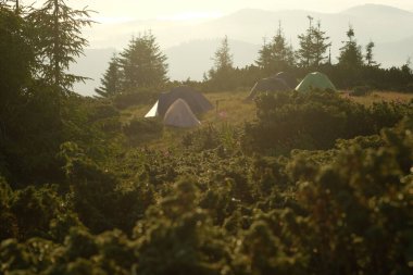 Güneşli bir sabahta bir dağ çayırında turist kampı. Dağ manzarası, ormandaki rahatlama, temiz hava..