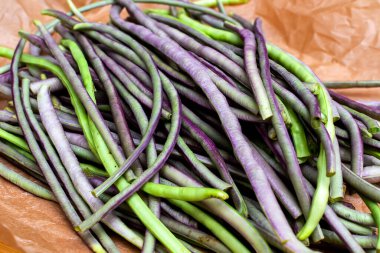 Bir demet taze organik kuşkonmaz fasulyesi veya fasulye.