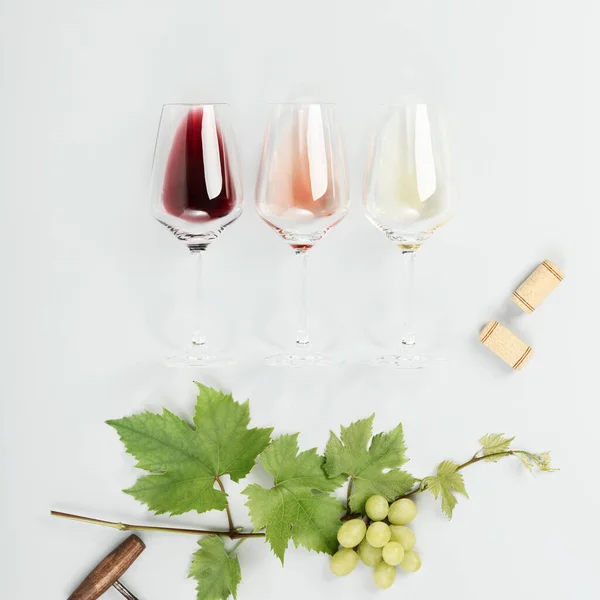Płaskie Ułożenie Czerwonego Różowego Białego Wina Szklankach Białym Tle Gałąź — Zdjęcie stockowe