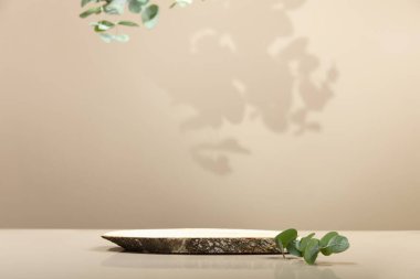 Tarafsız bej arka planda minimal modern ürün görüntüsü. Tahta kürsü ve yeşil yapraklar. Yeni ürün için konsept sahne gösterisi, tanıtım satışı, afiş, sunum, kozmetik