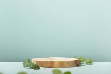 Okaliptüs yaprakları ve mavi arka planda gölgeler olan soyut boş ağaç dilimi podyumu. Ürün sunumu için stand-up yapın. Üç boyutlu çizim. Minimum konsept. Reklam şablonu