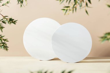 Beyaz köpük dairesi, bej masa üzerinde kaideyi ve okaliptüs dallarını şekillendirdi. Fotokopi alanı, yan görüş. Ürünler için podyum modelleme geçmişi. Reklam şablonu. Köpük platformu. Soyut geometrik