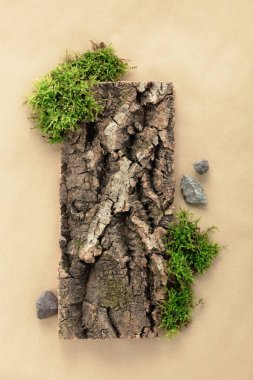 Kabuk ağacı ve yosunlu tasarım için yaratıcı kompozisyon, organik kozmetik ürünler için bej arka planda ahşap doku. Üst Manzara. Çevre dostu doğa kavramı