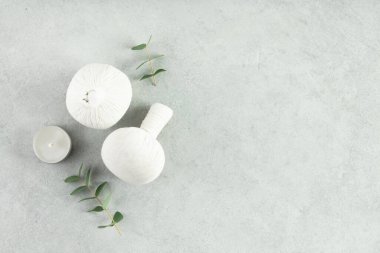 Çevre dostu yaşam tarzı konsepti. Gri arkaplan görünümlü masajcı bitkisel topları ile Spa setinin en üstteki görüntüsü kopya alanı