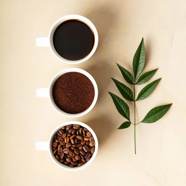 Top View Coffee Making Process Beans Brew Green Leaf — Stock Photo, Image