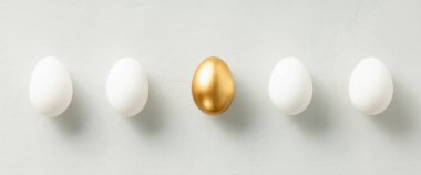 Tek bir altın yumurtası olan beyaz tavuk yumurtaları üst manzara pankartıydı. Kalabalıktan uzak durmak.