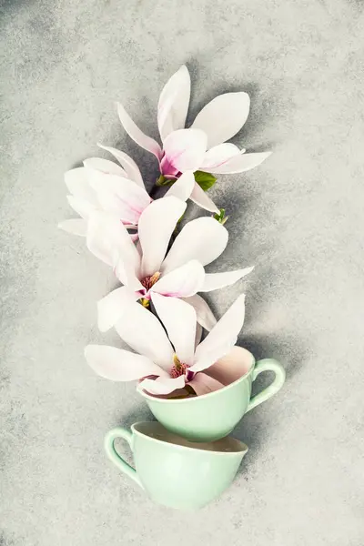 在质感灰暗的背景下优雅地摆放在淡绿色茶杯中的一朵盛开的木兰花的概念图 免版税图库照片