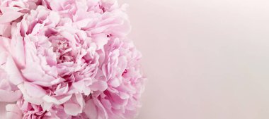 Hassas pembe şakayık çiçeklerinin makro çekimi, yumuşak taç yapraklarının tam çiçeklenme katmanlarını vurguluyor.