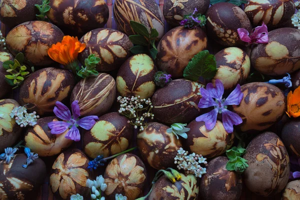 Gotowe Barwienia Jaja Naturalnych Kolorach Otrzymywane Różnych Roślin Brak Barwników — Zdjęcie stockowe