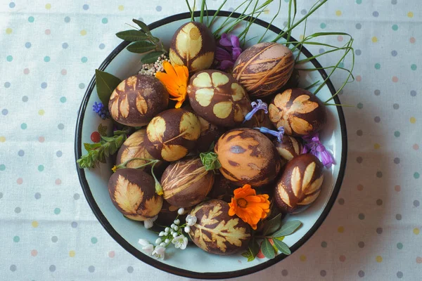 Gotowe Barwione Jaja Talerzu Naturalnych Kolorach Otrzymywane Różnych Roślin Brak — Zdjęcie stockowe