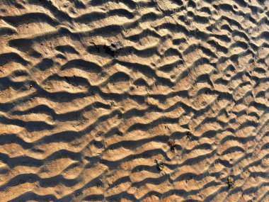 Background of Ocean floor during low tide showing ripples in the sand made by the waves clipart