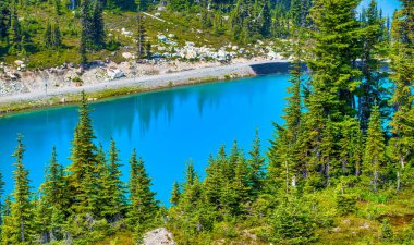 Whistler Dağları 'nda güzel bir göl, British Columbia' da yaz mevsimi
