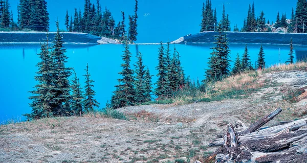 Vakker Innsjø Whistler Mountains Sommersesongen British Columbia – stockfoto