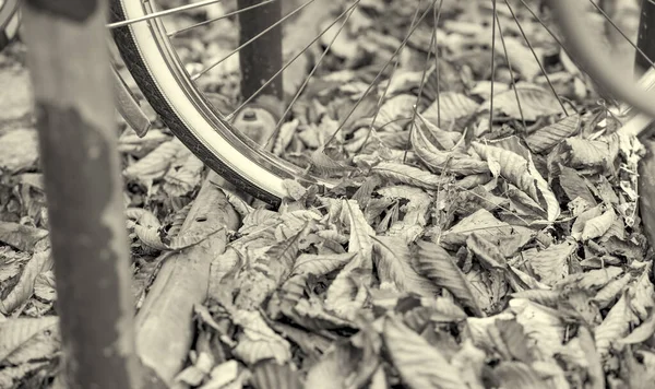 Припаркованный Велосипед Вдоль Конкурса Листвы Листья Земле Осенью — стоковое фото