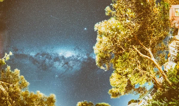 Καταπληκτικό Γαλαξία Πάνω Από Πεύκα Αυστραλία — Φωτογραφία Αρχείου