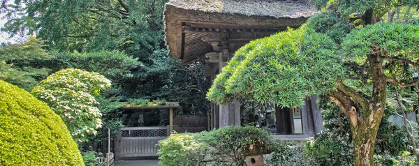 鎌倉の仏教寺院長谷寺庭園の美しい自然 — ストック写真
